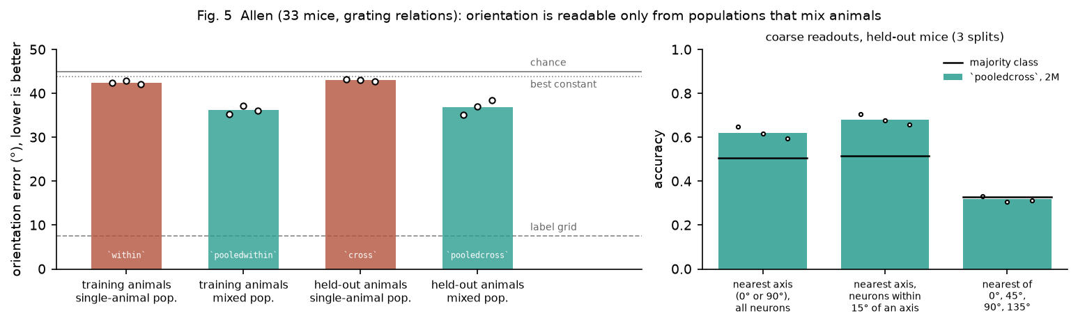 On Allen, orientation is readable on held-out animals only from populations that mix animals