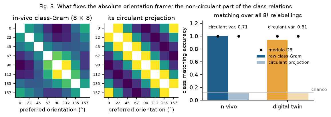 The class-Gram of orientation is nearly circulant; only its non-circulant part fixes the absolute frame